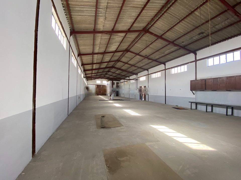 Location Hangar Tessala El Merdja