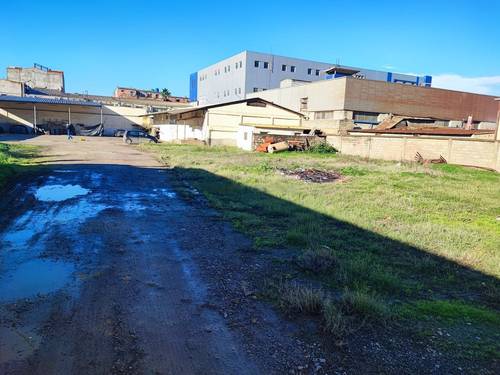 Location Hangar Les Eucalyptus