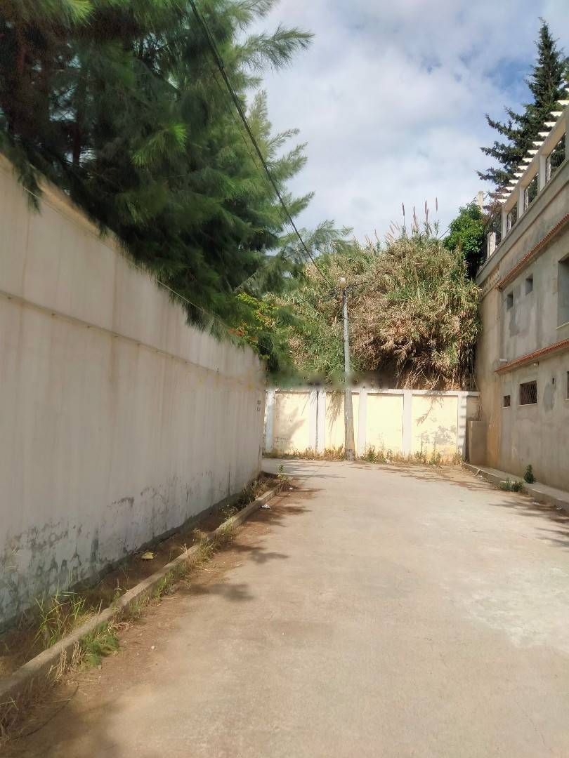 Vente Terrain El Achour