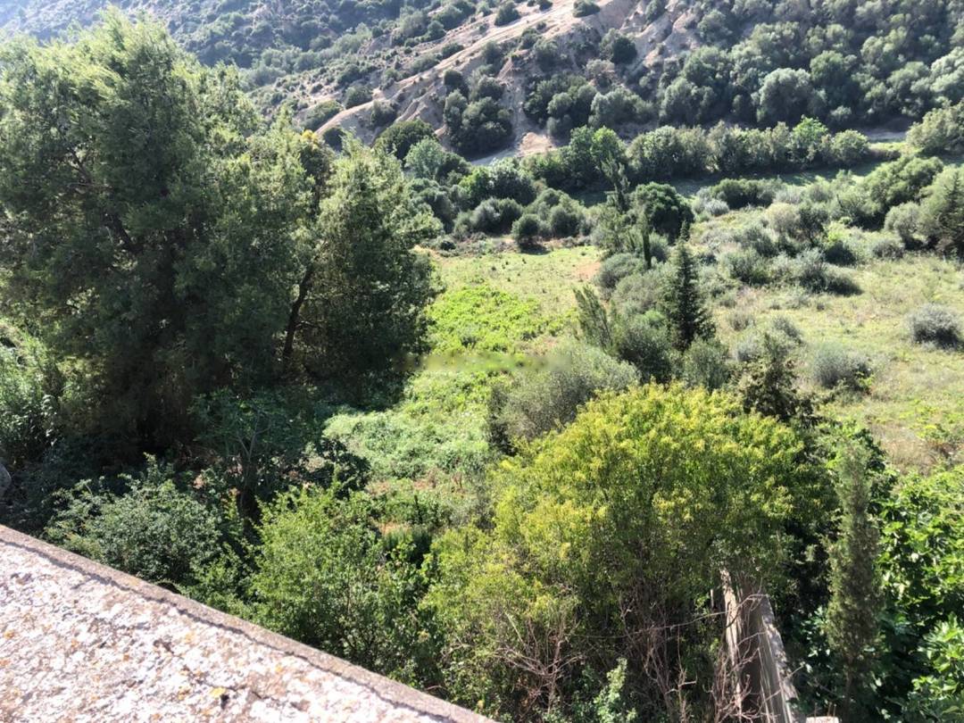 Vente Villa F10 Douera