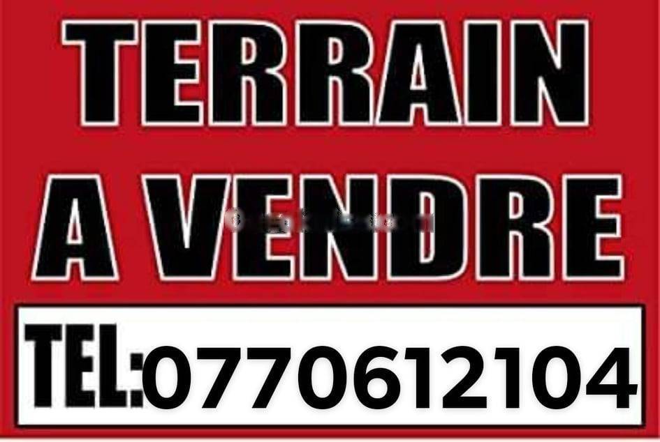 Vente Terrain Saoula