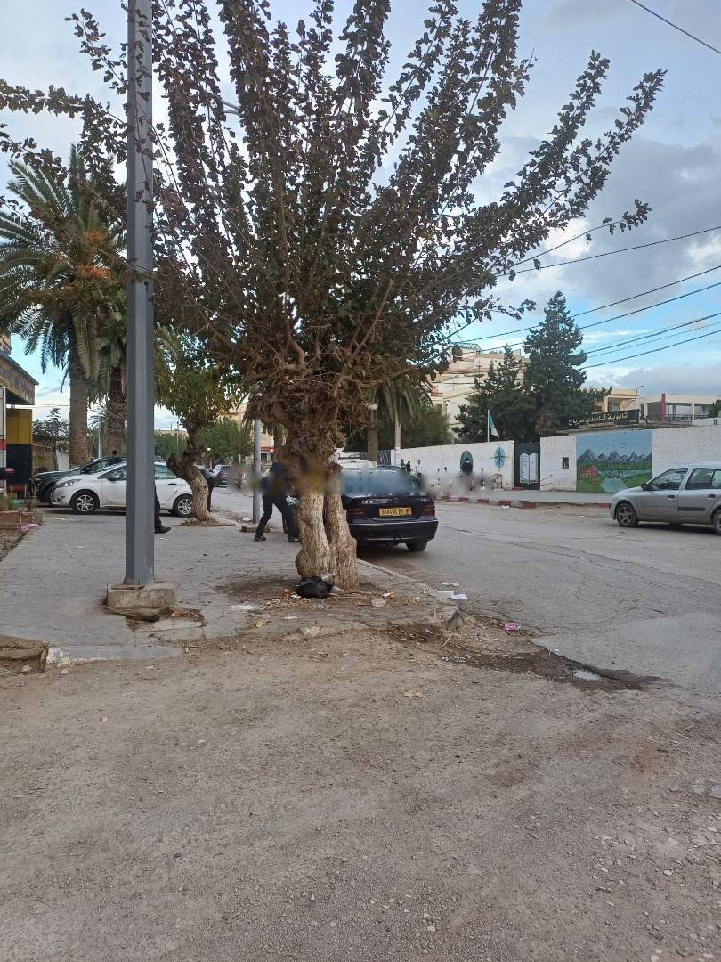Vente Appartement F4 Bordj El Bahri