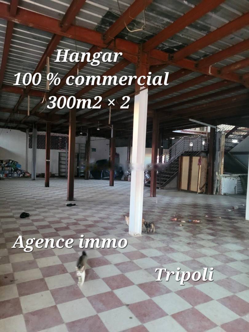 Vente Hangar Hussein Dey