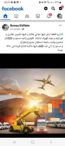 Vente Terrain Bordj El Bahri