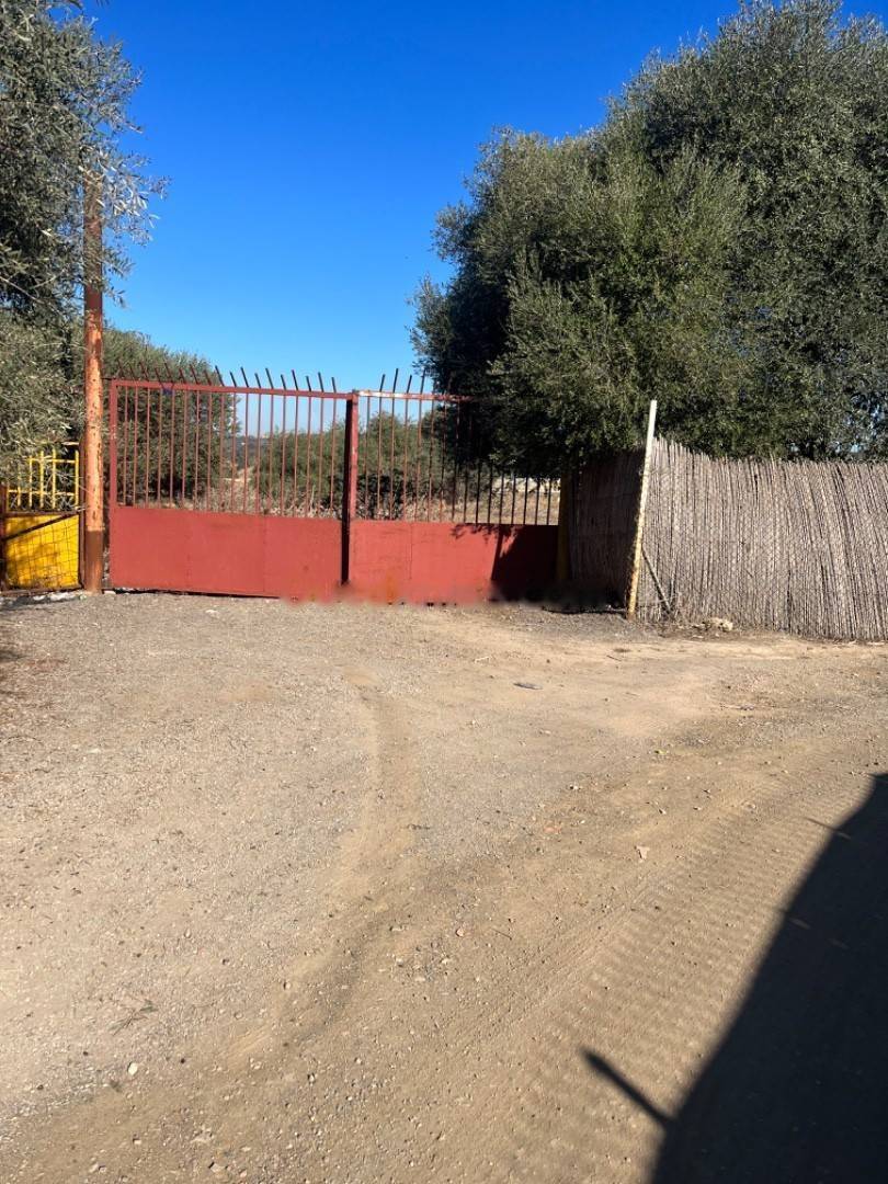 Location Terrain Reghaia