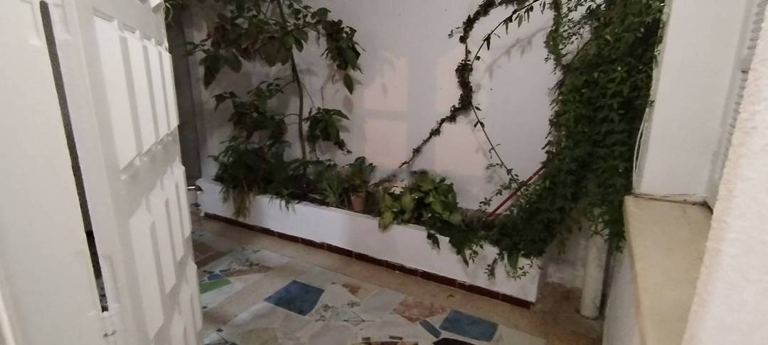 Location Niveau de villa F3 Dely Ibrahim