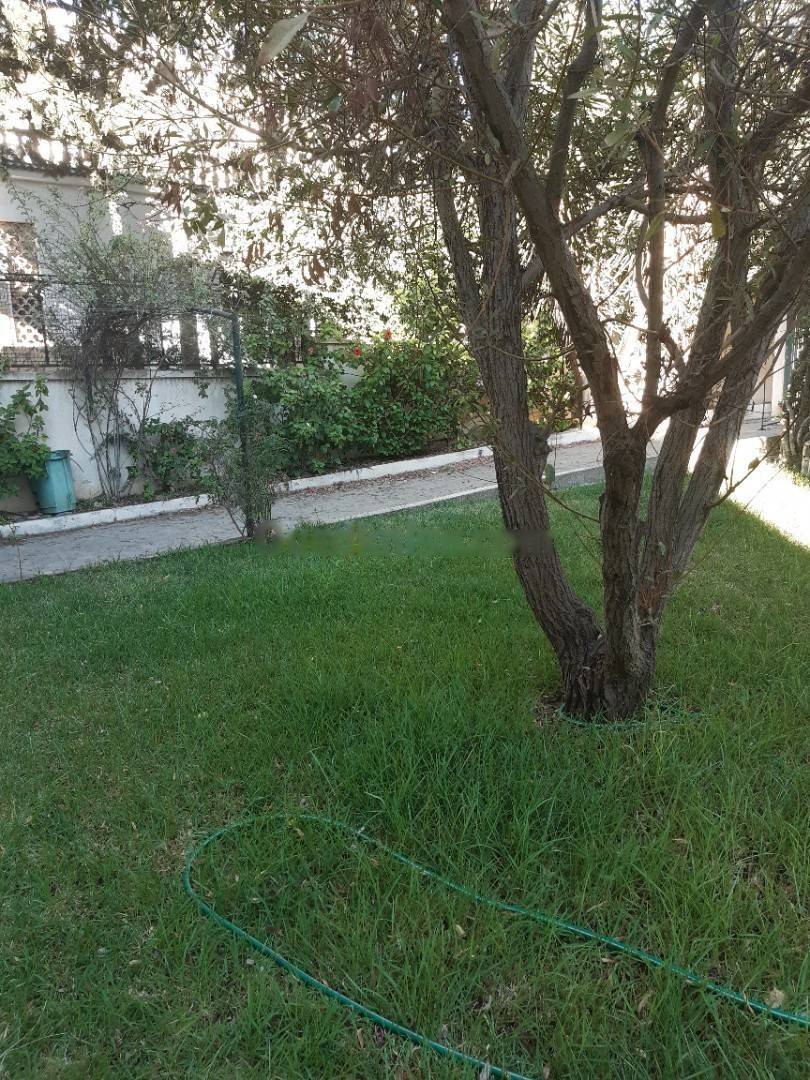 Location Appartement F3 Cheraga