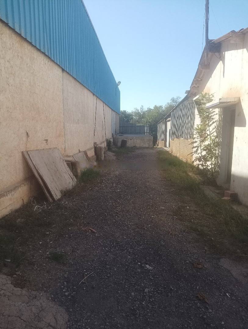 Location Hangar Saoula