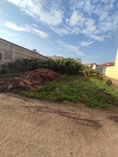 Vente Terrain Ouled Chebel