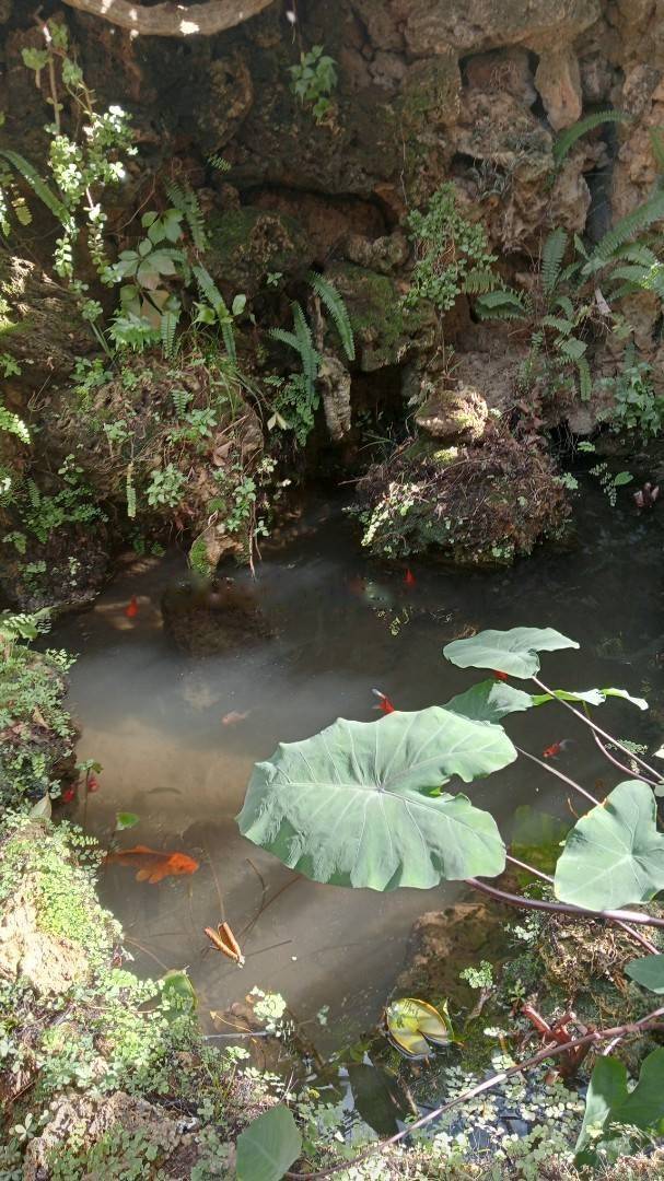 Location Villa Dely Ibrahim