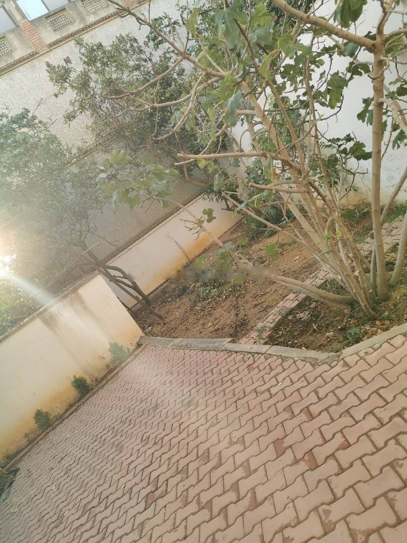 Location Villa F10 Draria