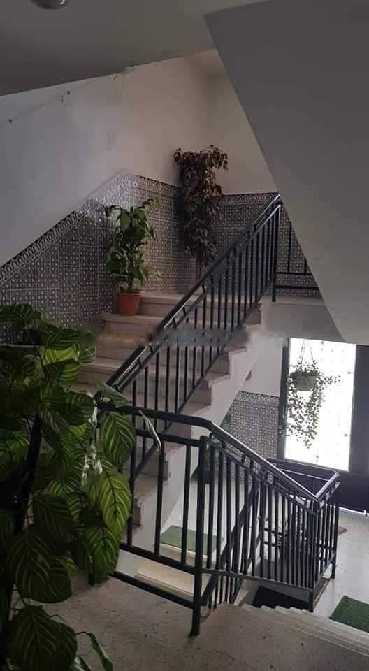 Location Appartement F3 Baba Hassen