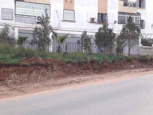 Vente Local F0 Bachdjerrah