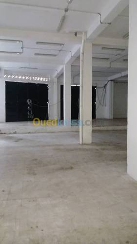 Location Hangar Dely Ibrahim