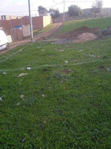 Vente Terrain Reghaia