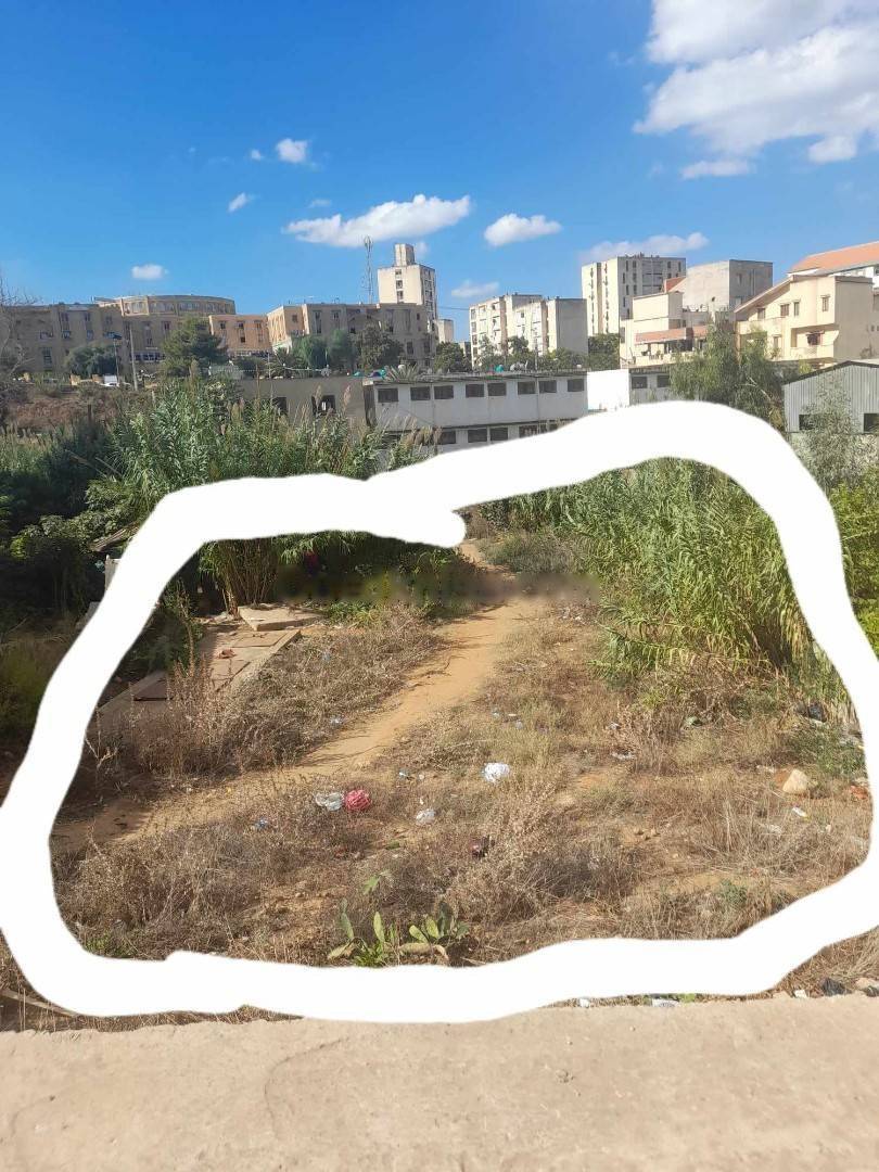 Vente Terrain Zeralda