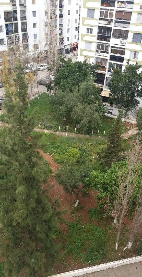 Location Appartement F3 Bab Ezzouar