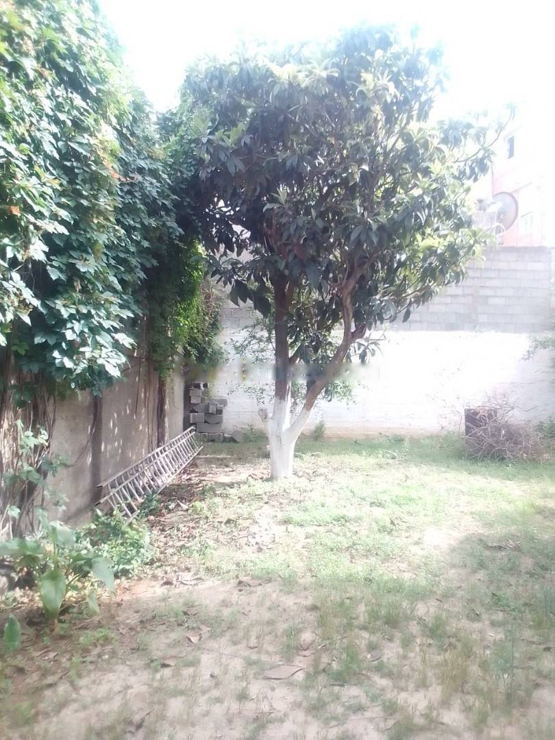 Location Appartement F3 El Biar