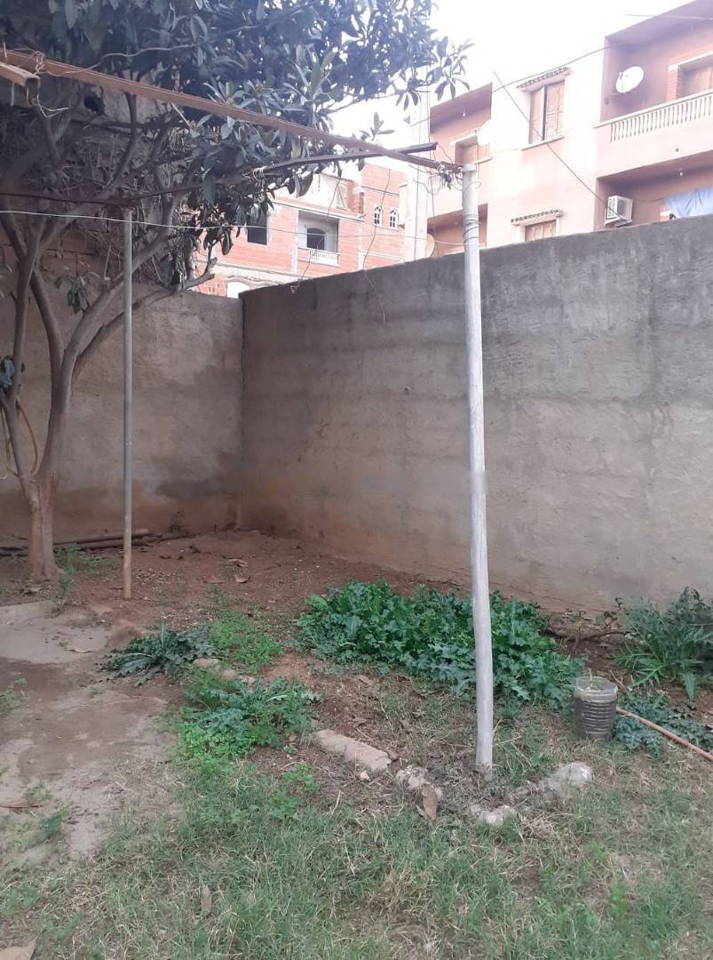 Vente Terrain Bordj El Kiffan
