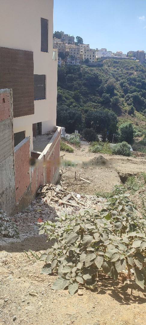 Vente Terrain Bouzareah