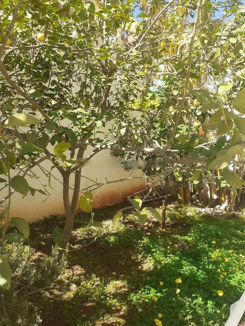 Location Villa F11 Dely Ibrahim