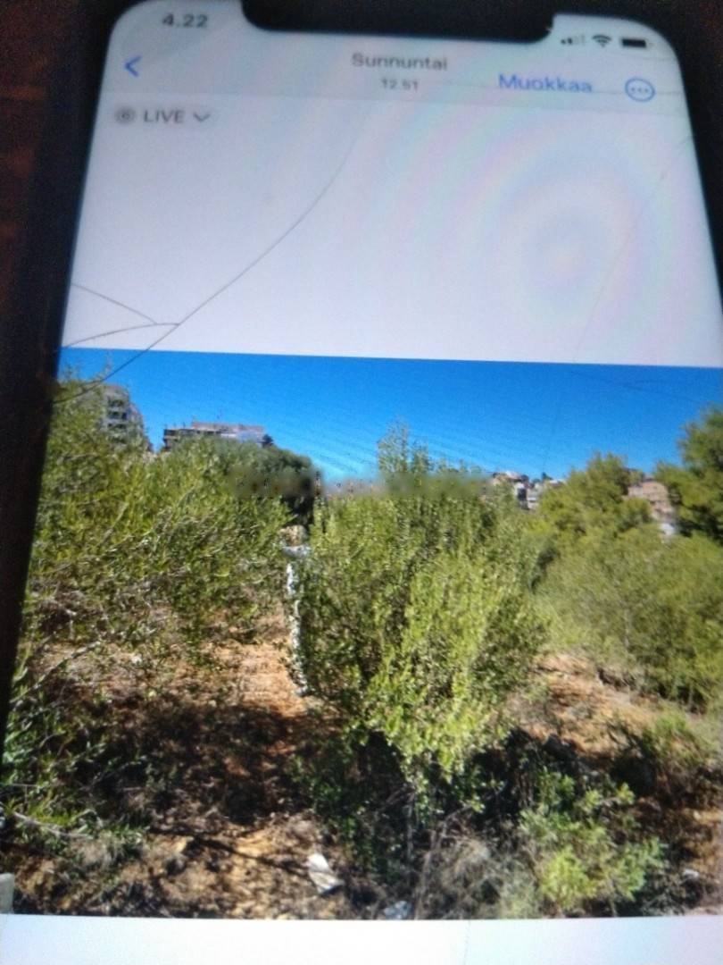 Vente Terrain El Achour