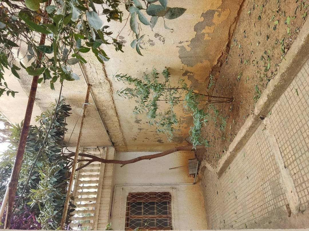 Vente Villa F12 Douera