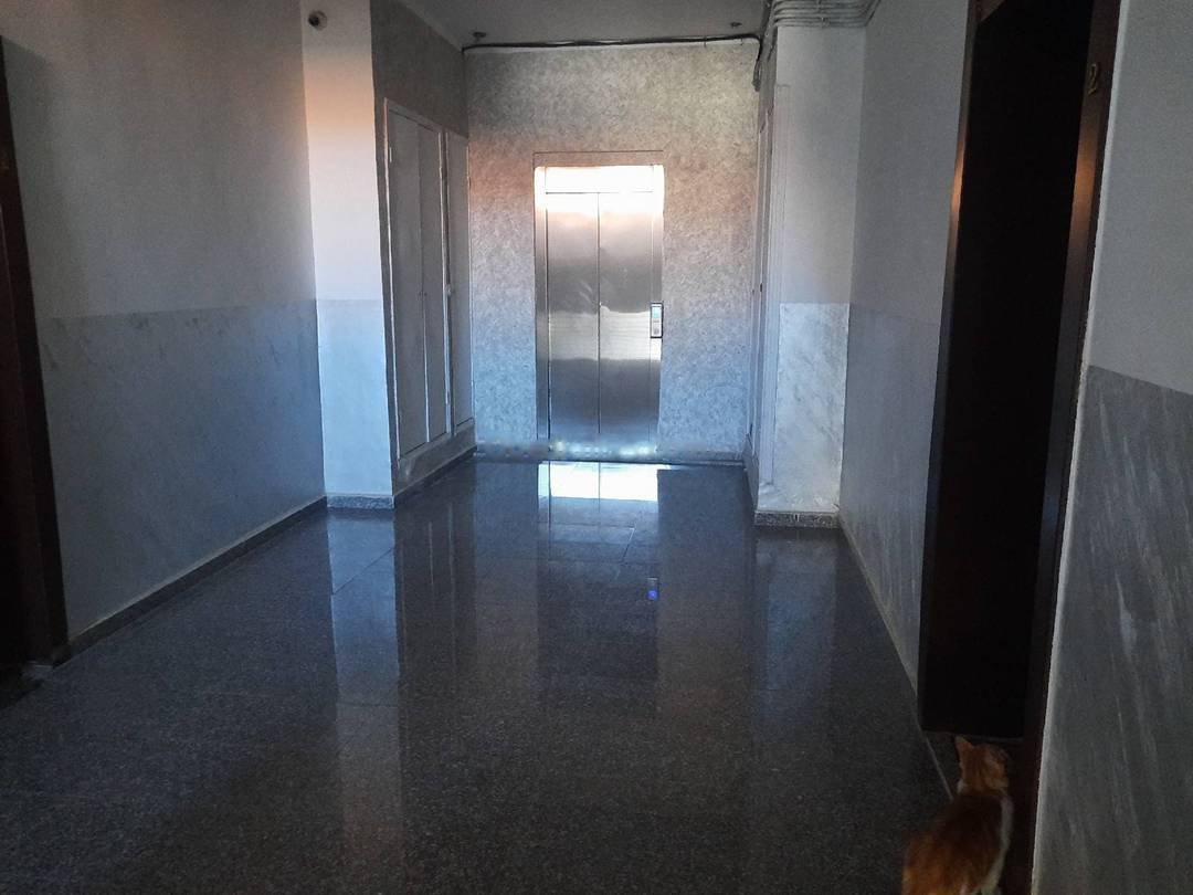 Vente Appartement F3 Bouzareah