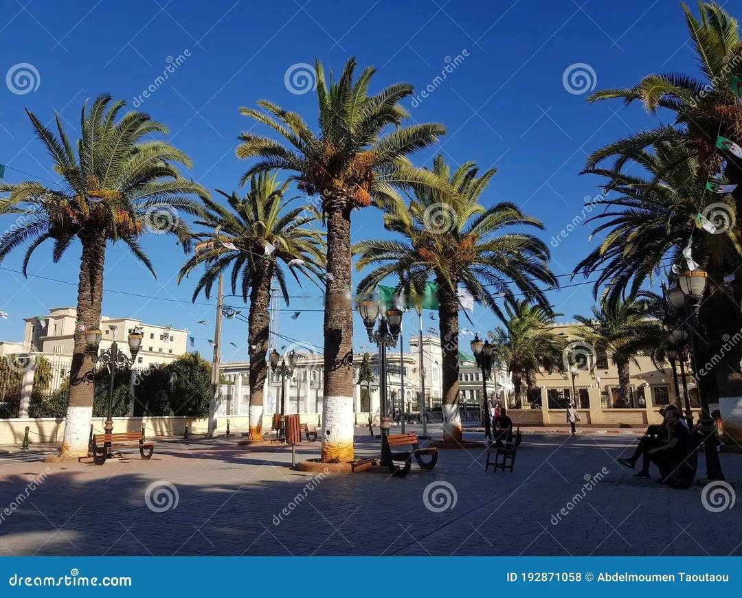 Location Local Rouiba