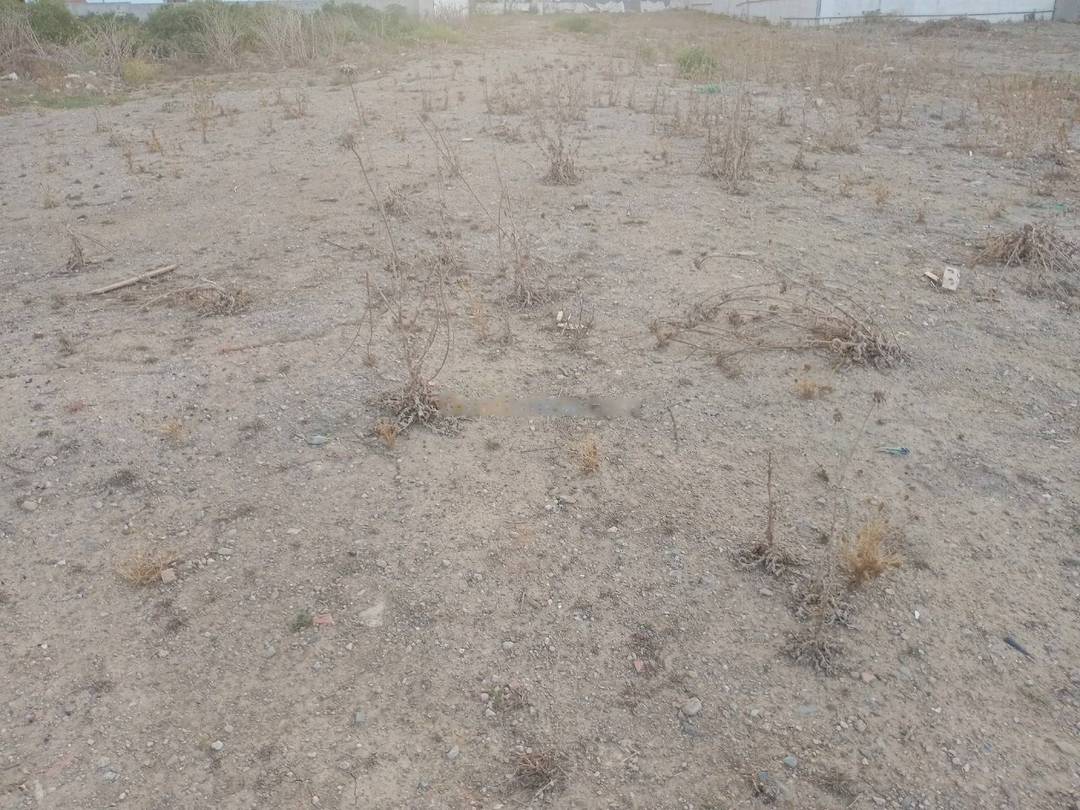 Vente Terrain Ouled Chebel