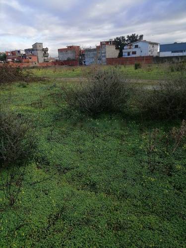 Vente Terrain Birtouta