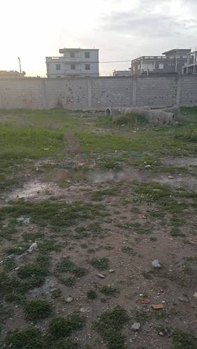 Vente Terrain Les Eucalyptus