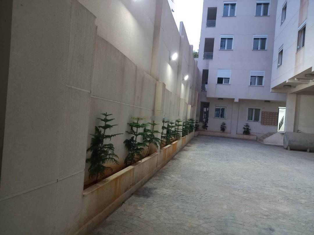 Location Appartement F3 Cheraga