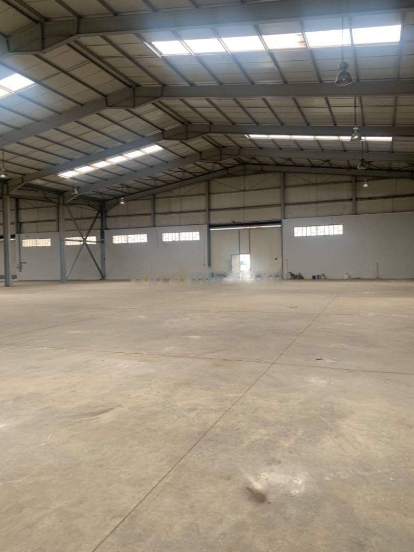 Location Hangar Oued Smar