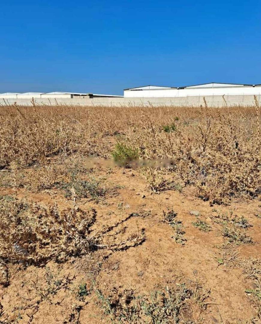 Vente Terrain Ouled Chebel