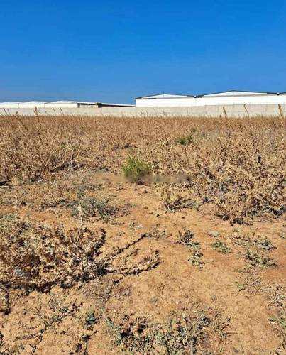 Vente Terrain Ouled Chebel