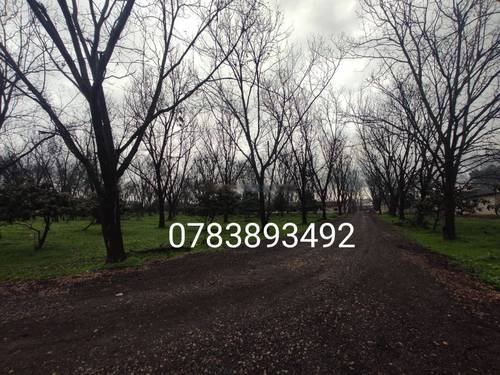 Vente Terrain Ouled Chebel