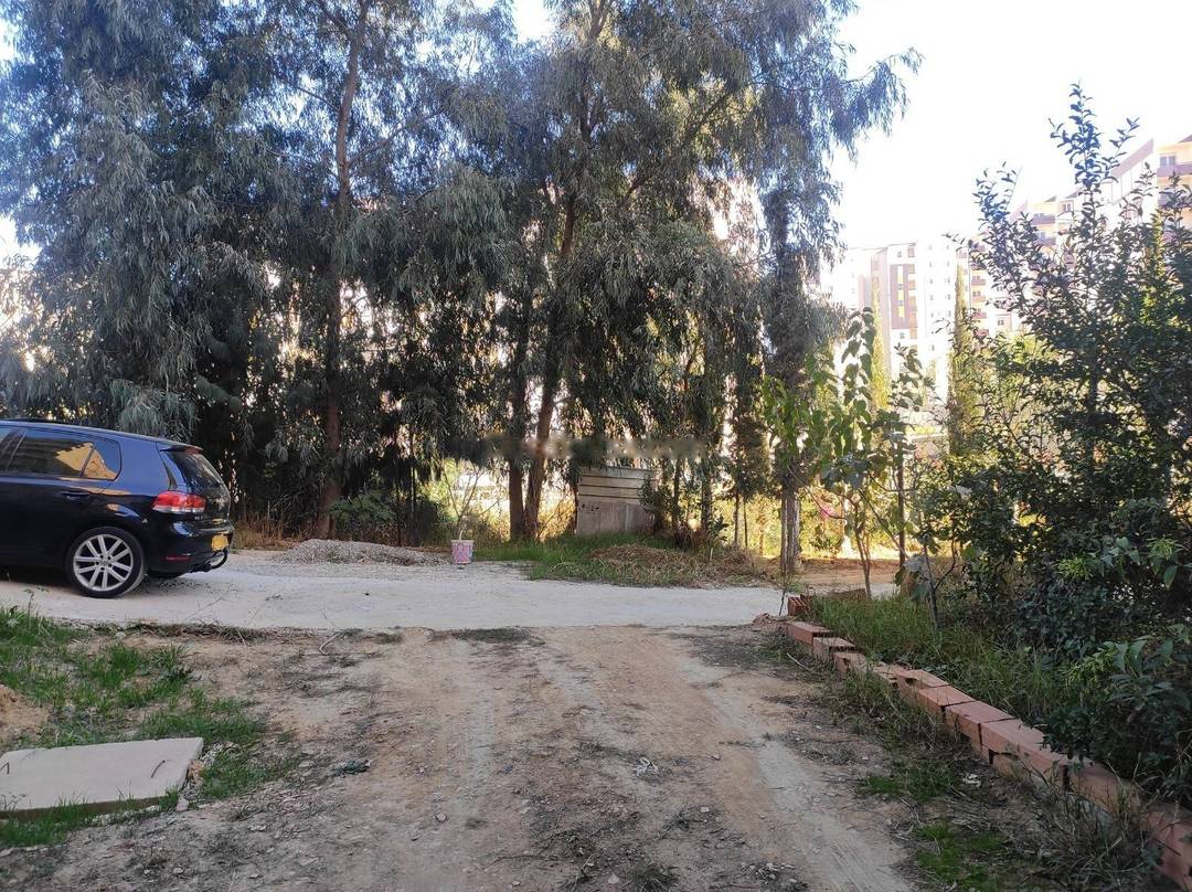 Location Local Draria