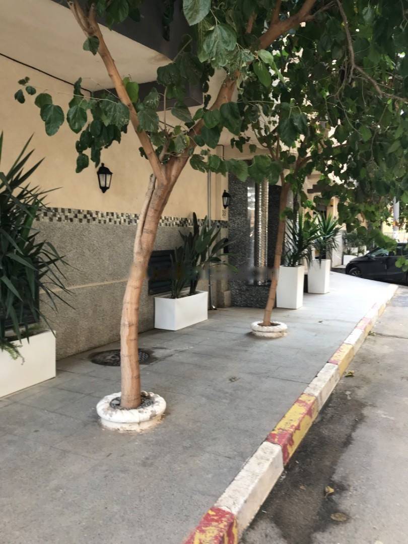 Location Appartement F4 El Achour