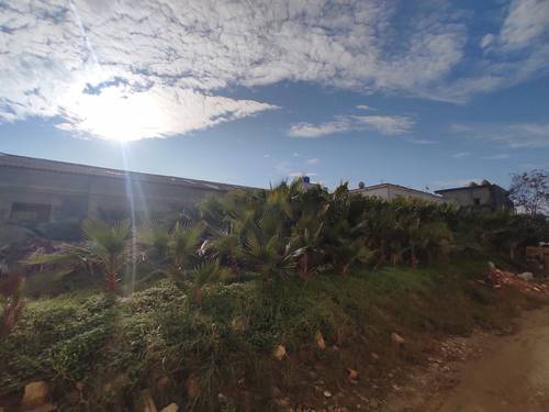 Vente Terrain Ouled Chebel