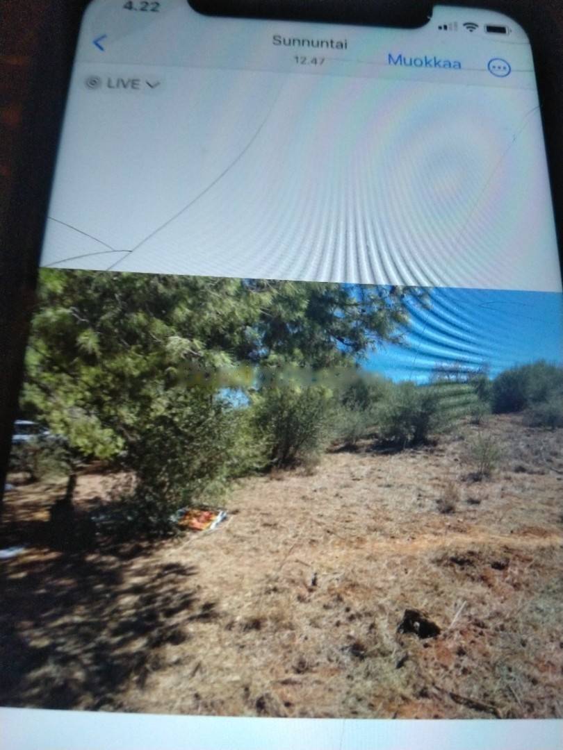 Vente Terrain El Achour