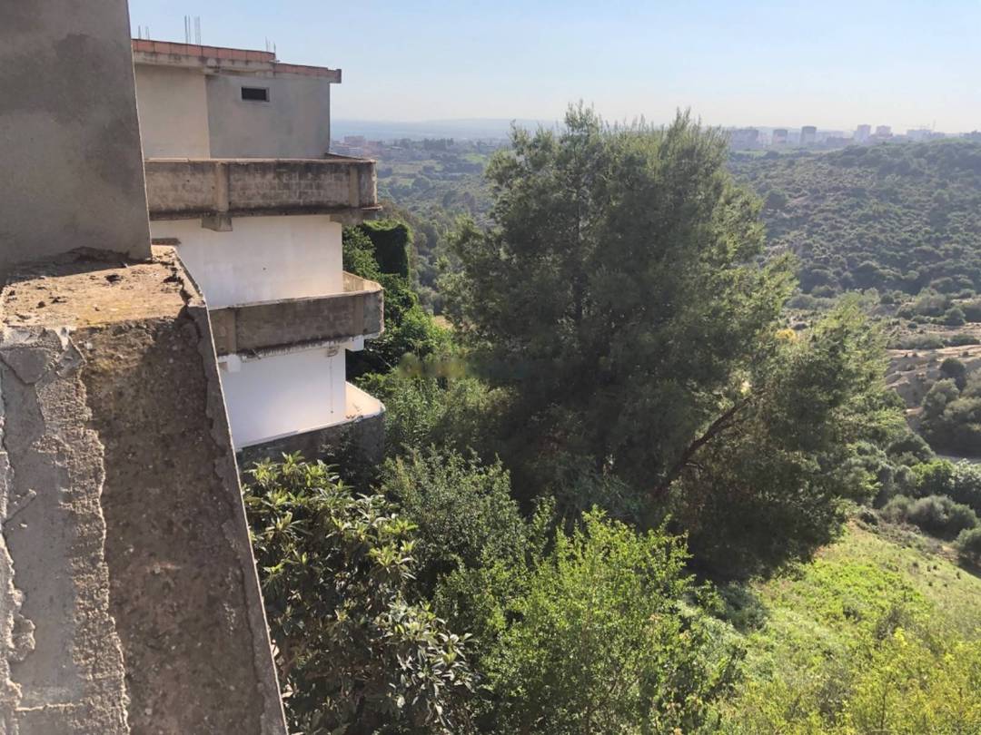 Vente Villa F10 Douera