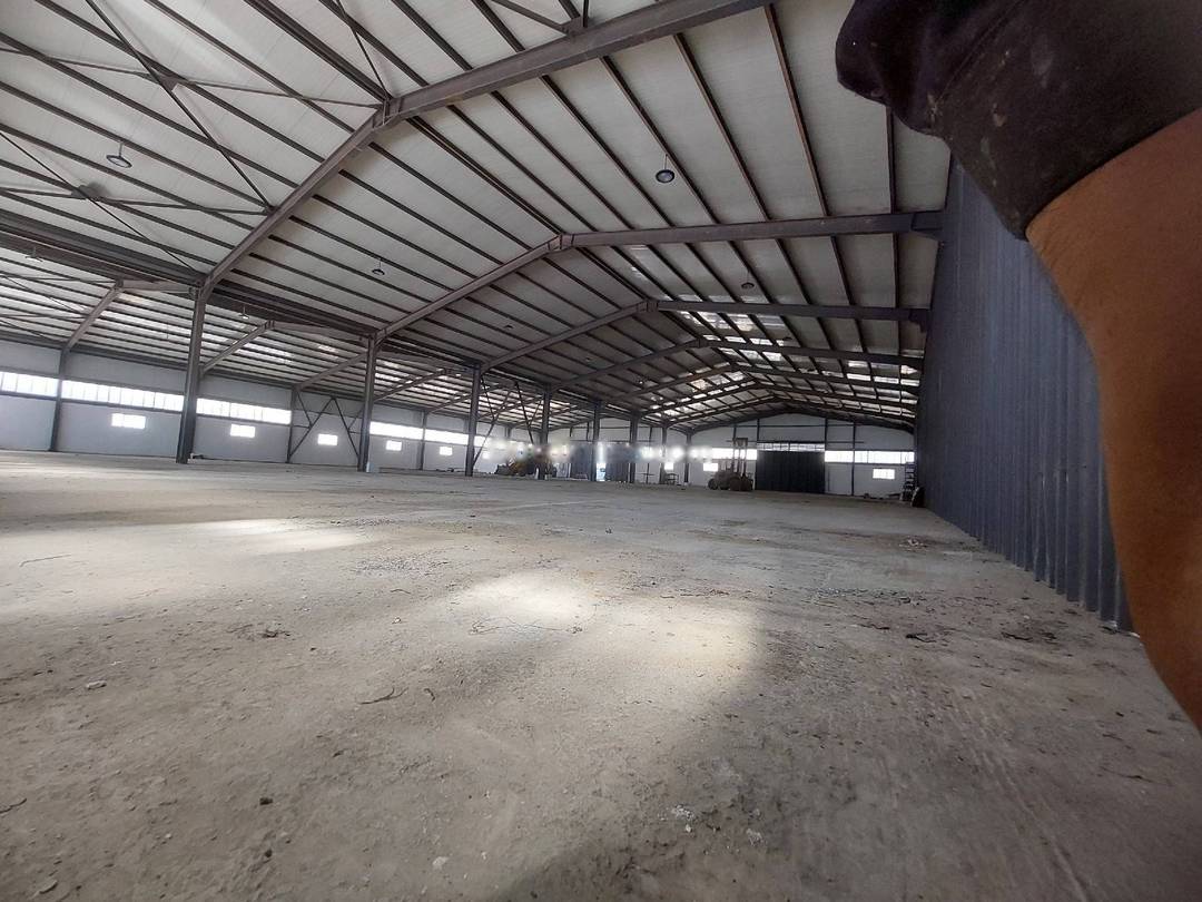 Location Hangar Les Eucalyptus