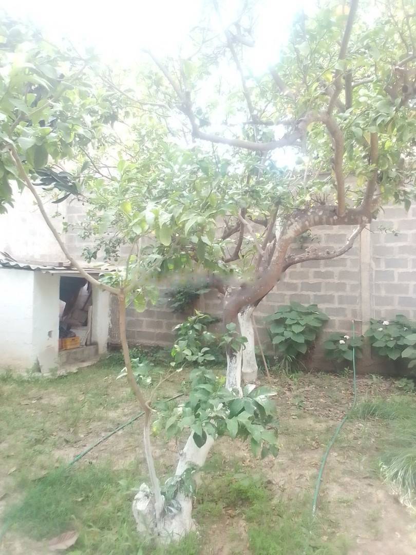 Location Appartement F3 El Biar