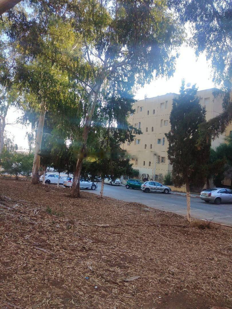 Location Appartement F4 Kouba