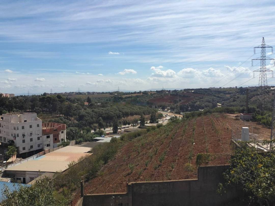 Vente Terrain Draria