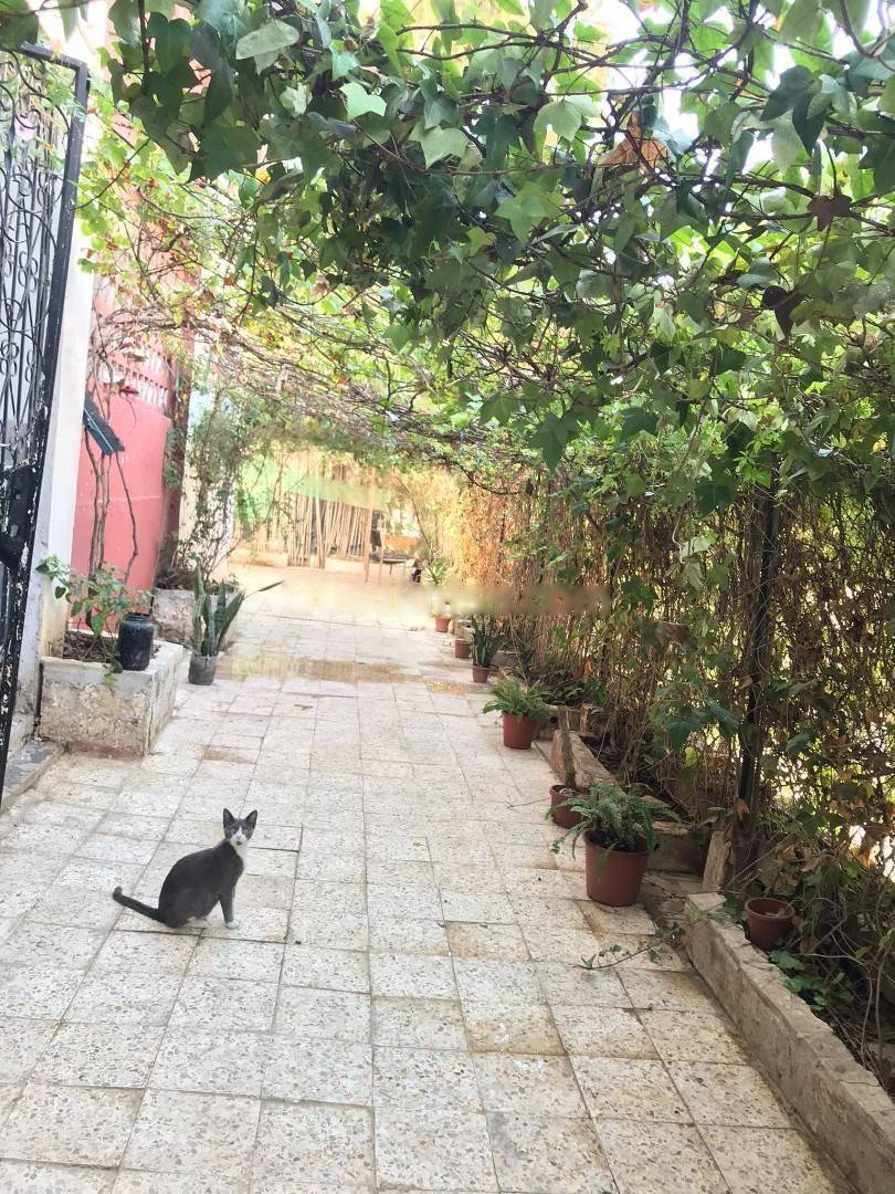 Vente Appartement F5 Dar El Beida
