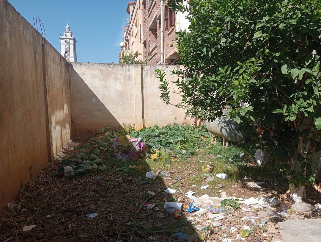 Location Local Birkhadem