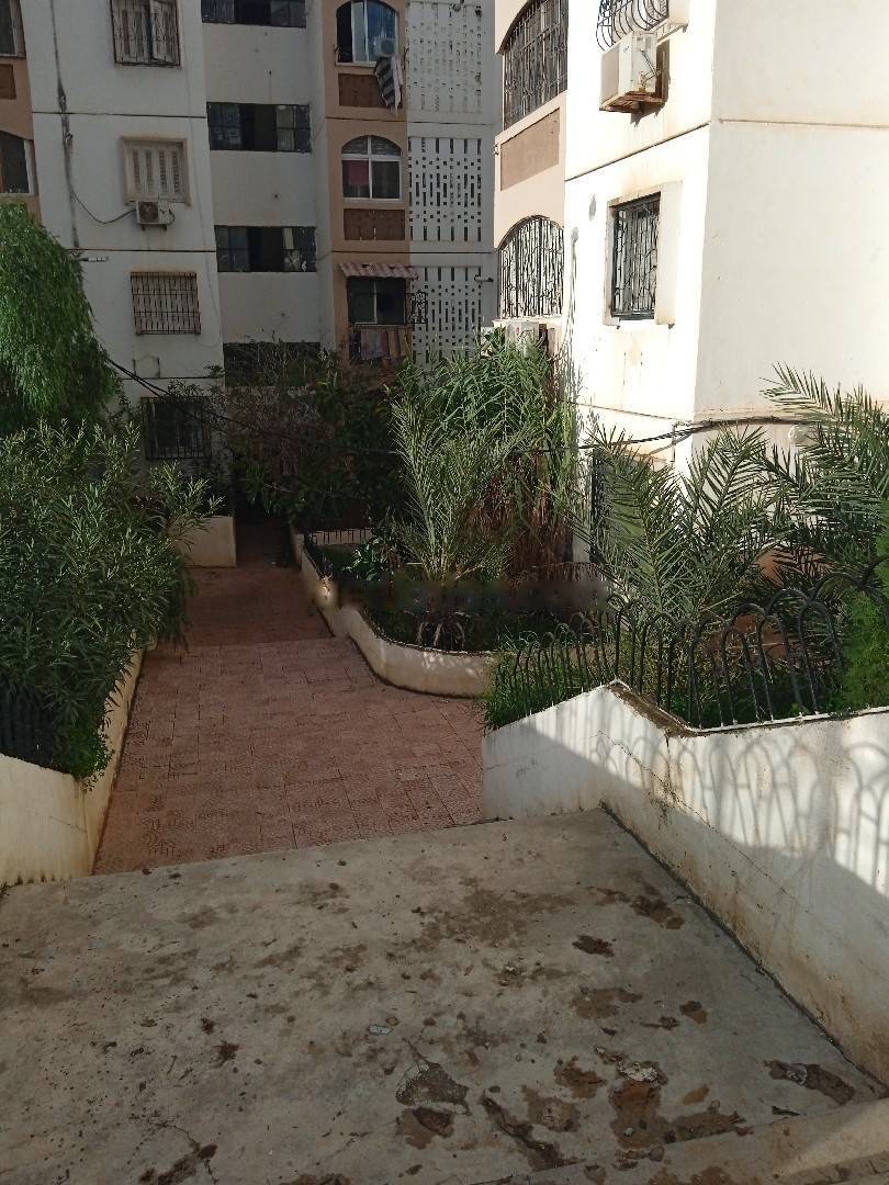  Location appartement f3 kouba