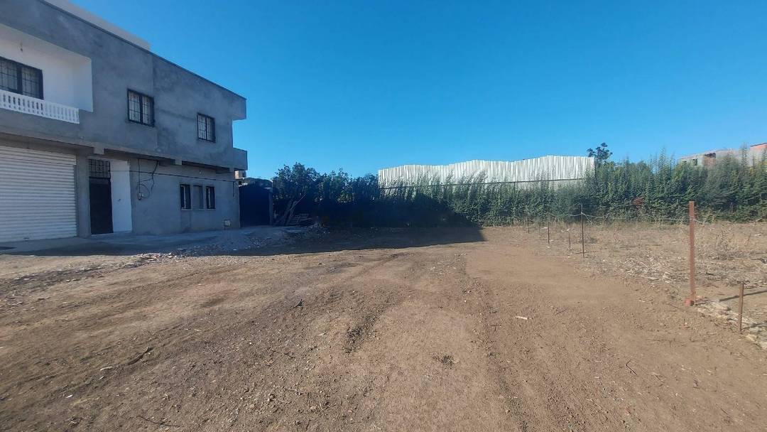 Vente Terrain Ouled Chebel